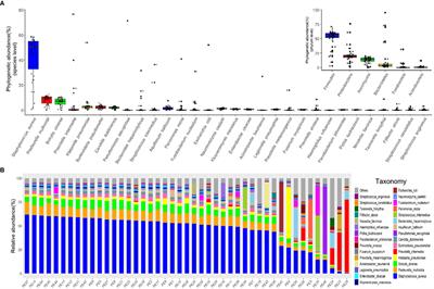 Identification of Microbiome Etiology Associated With Drug Resistance in Pleural Empyema